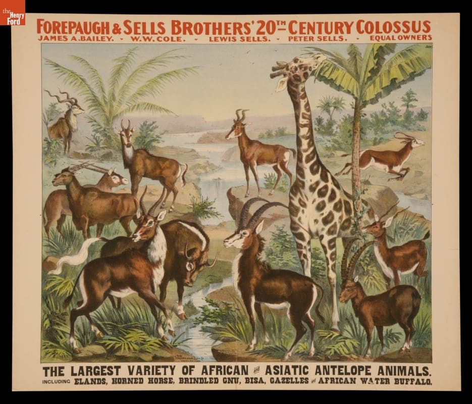Circus Poster, Adam Forepaugh & Sells Brothers Circus, "The Largest Variety of African and Asiatic Antelope Animals," circa 1900