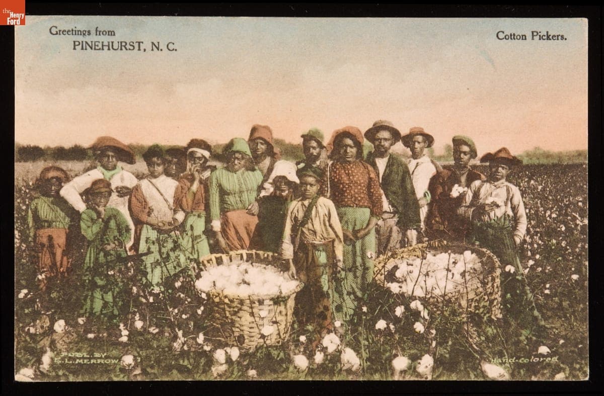 Postcard, "Cotton Pickers. Greetings from Pinehurst, North Carolina," circa 1917