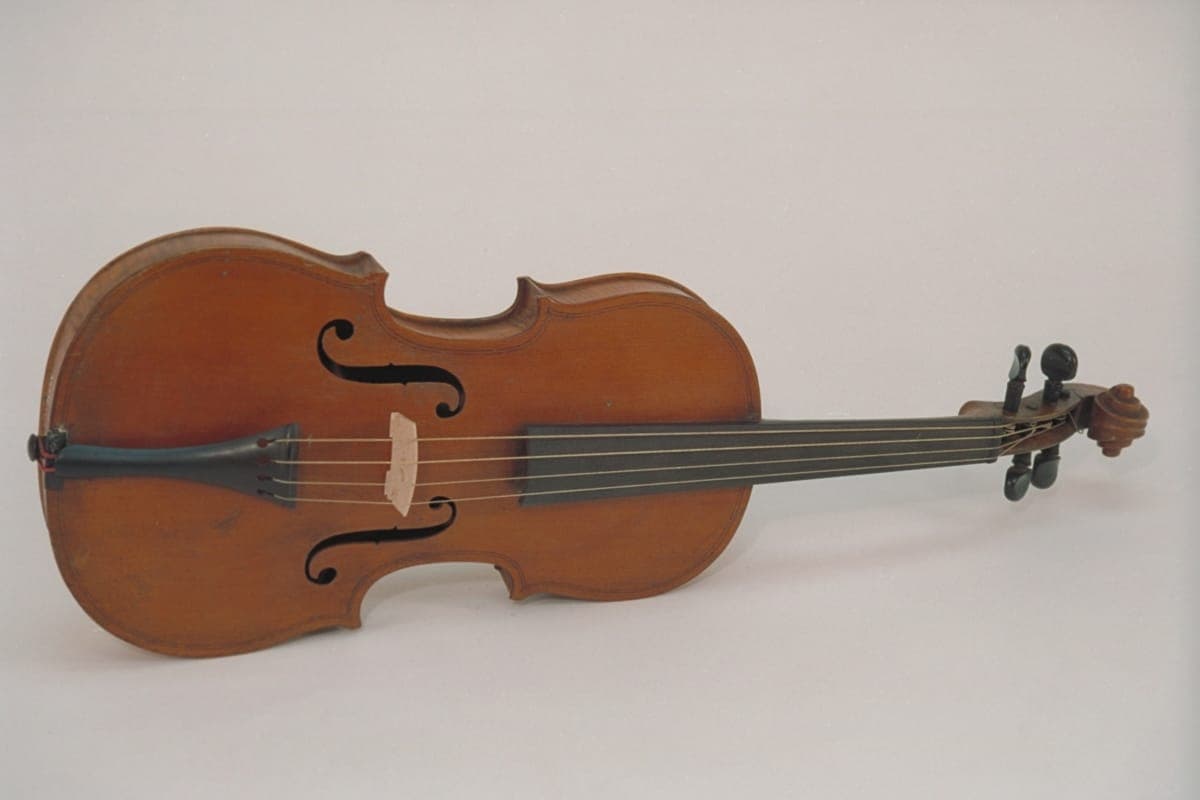 Violin, 1880-1900