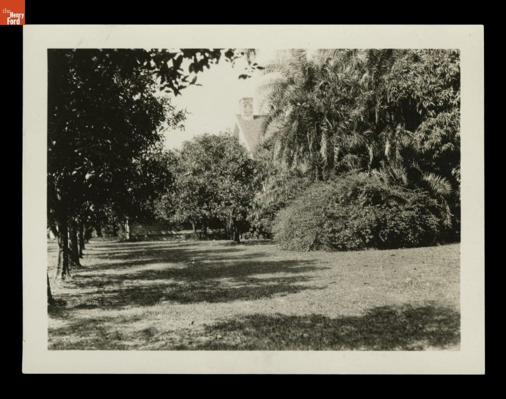 Grounds of "The Mangoes," Winter Estate of Henry and Clara Ford, circa 1925
