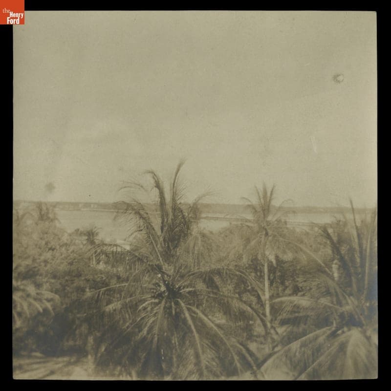 Grounds of "The Mangoes," Winter Estate of Henry and Clara Ford, circa 1925