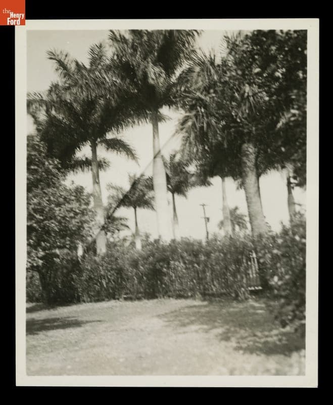Grounds of "The Mangoes," Winter Estate of Henry and Clara Ford, circa 1925