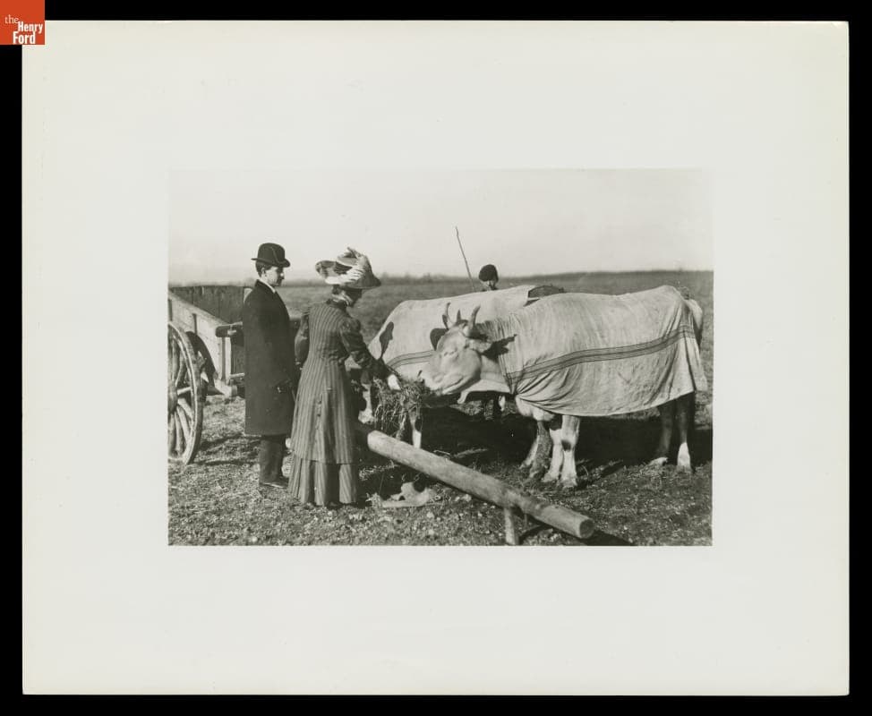 Orville Wright and Katharine Wright Feeding Cattle at Pau, France, February 1909