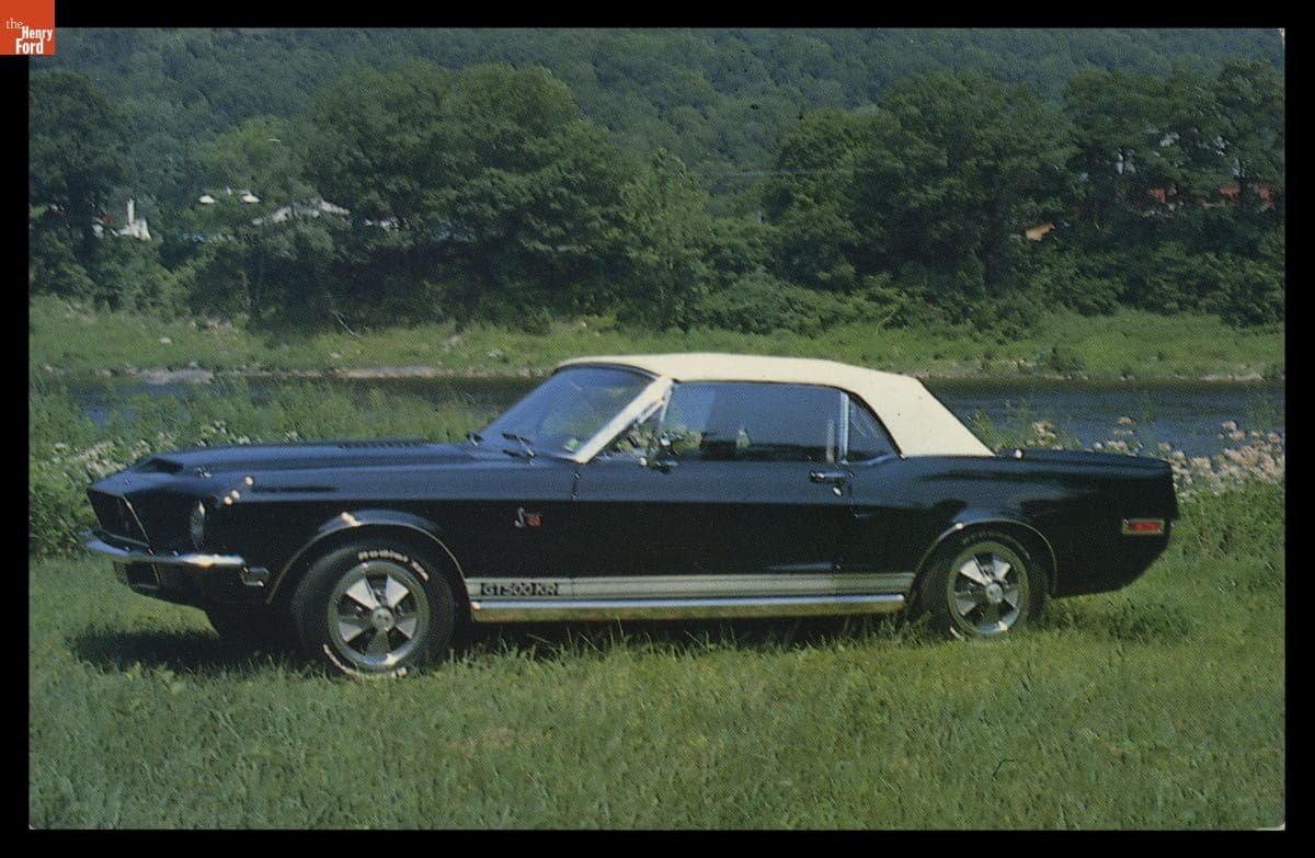 Postcard Showing 1968 Ford Mustang Shelby GT 500KR