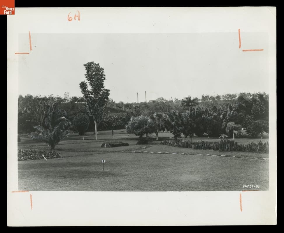 Golf Course at Fordlandia, Brazil, 1941