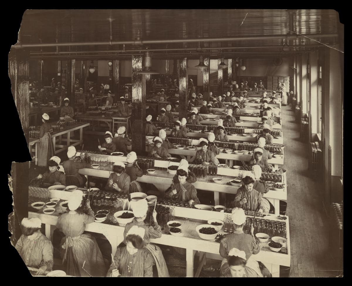 H. J. Heinz Factory, Women Workers Filling Bottles and Jars, circa 1905