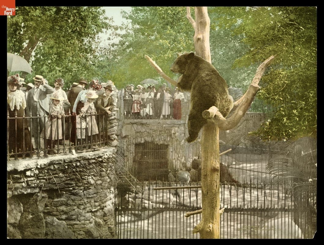 Bear Pit, Lincoln Park Zoo, Chicago, Illinois, 1901