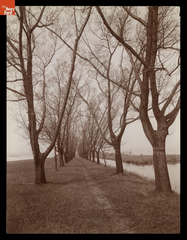 "Willow Avenue," Star Island Waterfront, St. Clair Flats, Michigan, 1912
