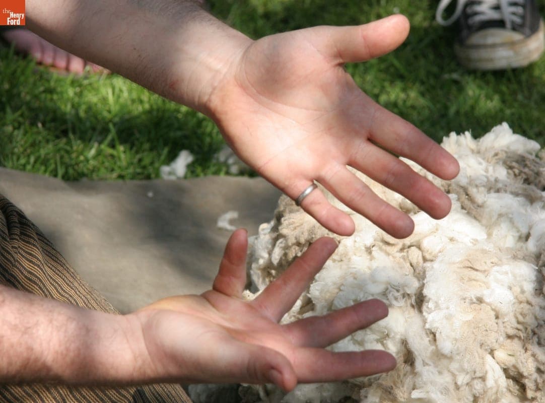 Lanolin from Merino Sheep Wool on Shearer's Hands, Greenfield Village, April 2010