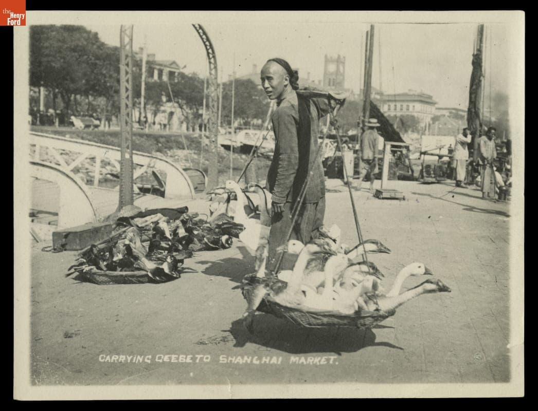 Carrying Live Geese to Market, Shanghai, China, circa 1924