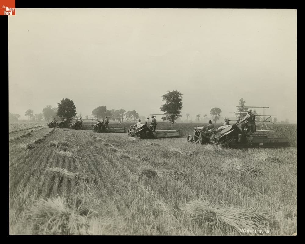 Harvesting Wheat, Ford Farms, Southeastern Michigan, 1918