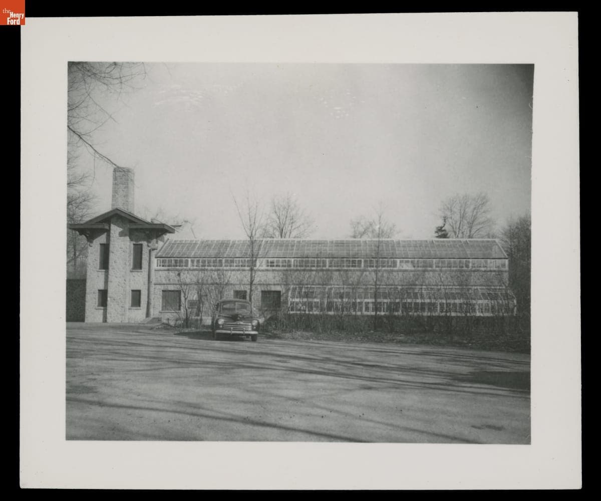 Greenhouse at Fair Lane, Former Home of Henry Ford, January 1949