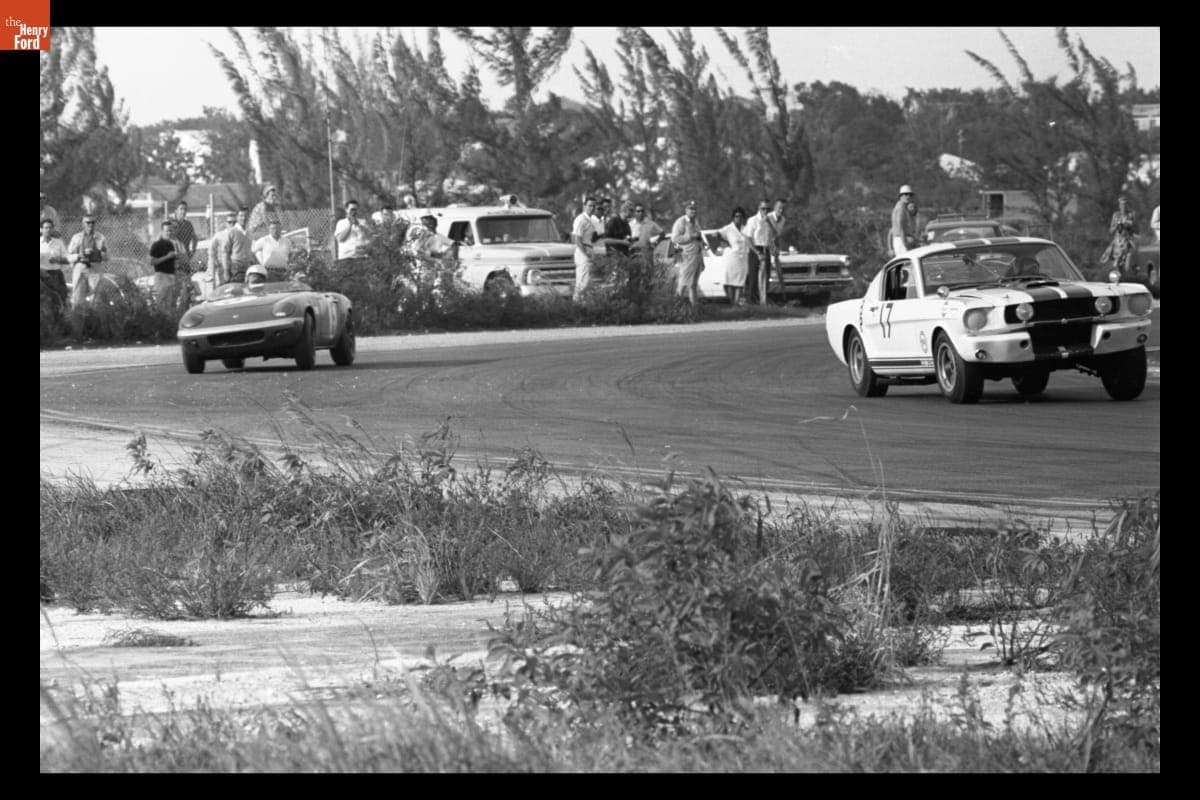 Ford Mustang GT350 Driven by John Scott at Bahamas Speed Weeks, November - December 1965