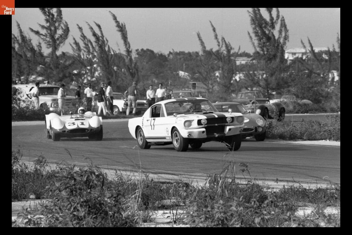 Ford Mustang GT350 Driven by John Scott at Bahamas Speed Weeks, November - December 1965