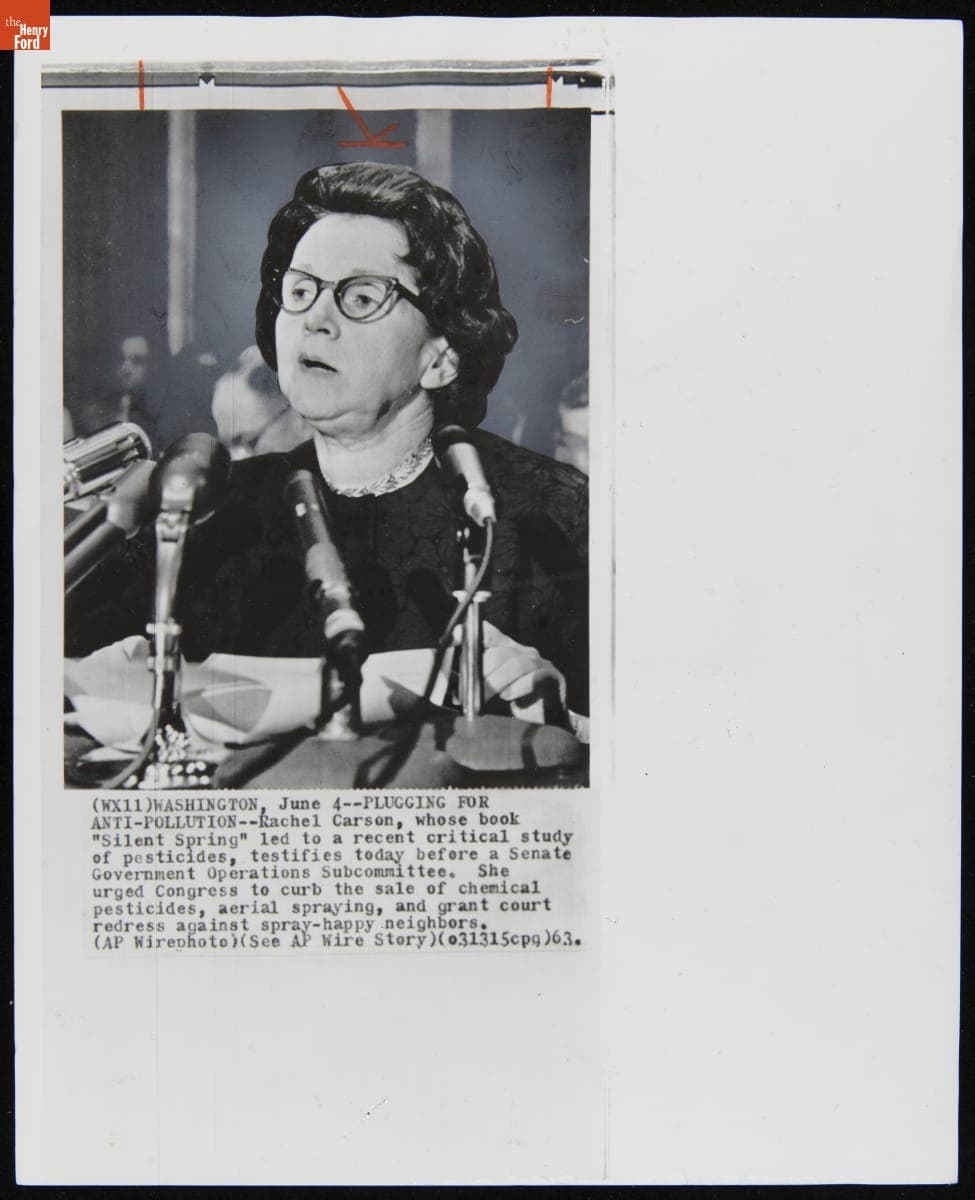 Rachel Carson Testifying before a Senate Government Operations Subcommittee, June 1963