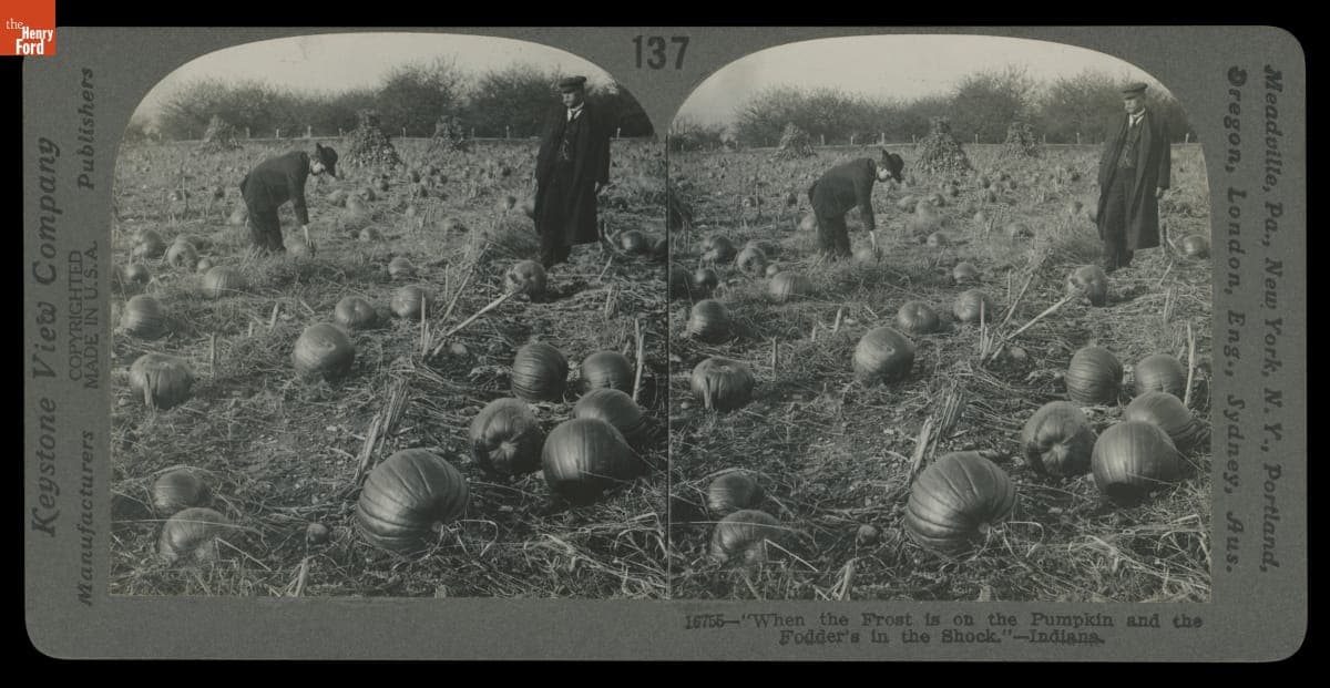 Farming Pumpkins in Indiana, 1920-1929