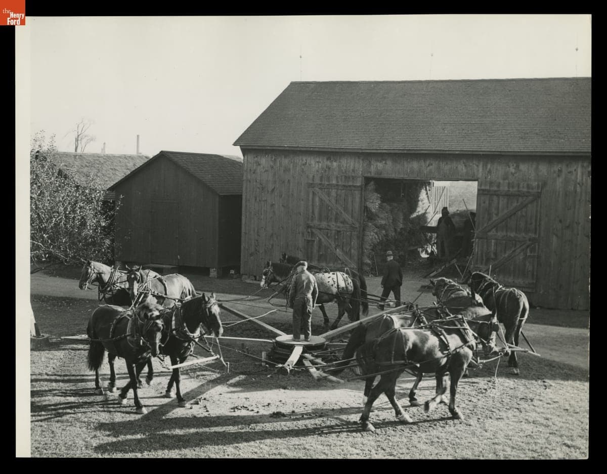 Threshing at the Ford Homestead, Dearborn, Michigan, November 1936