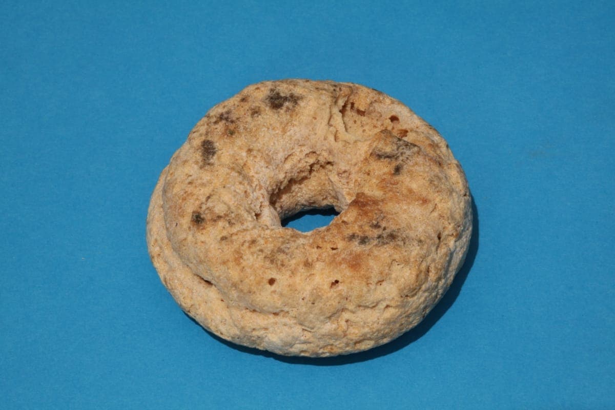 Doughnut Made by Sarah Ann Faught in January 1890