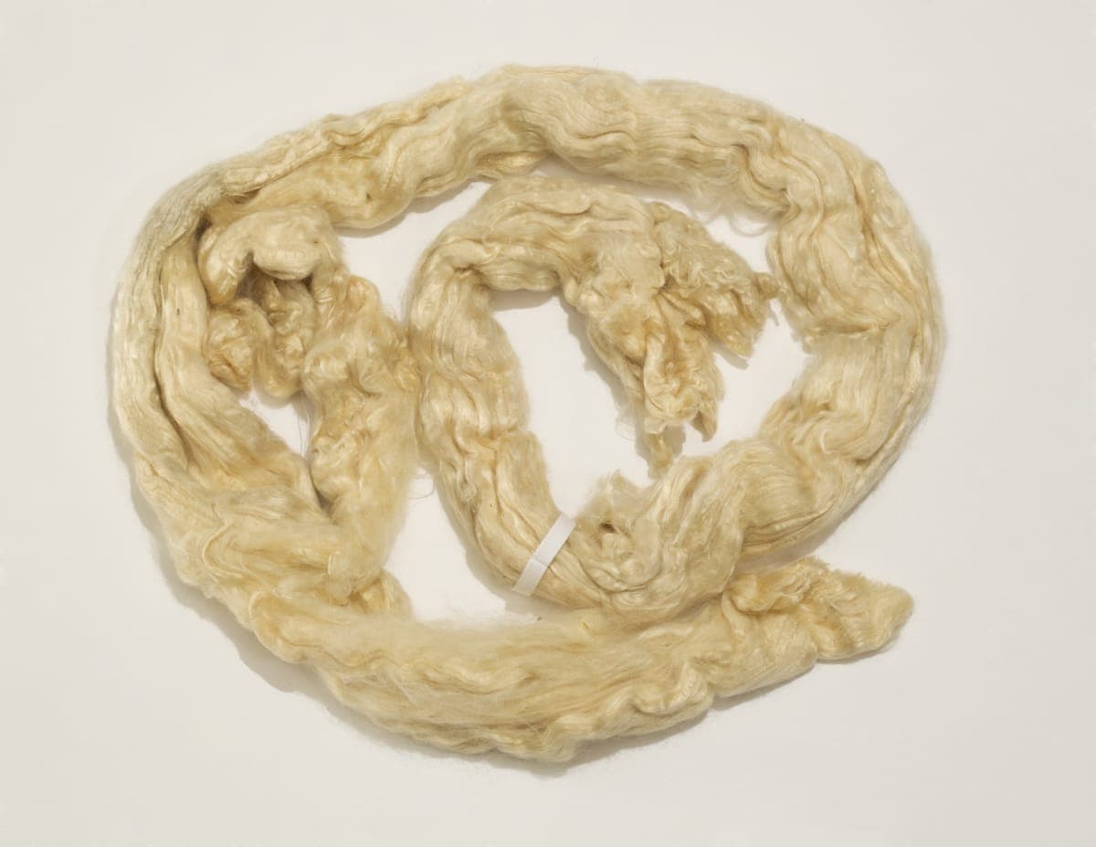 Soybean Fiber Sample, 1929-1943