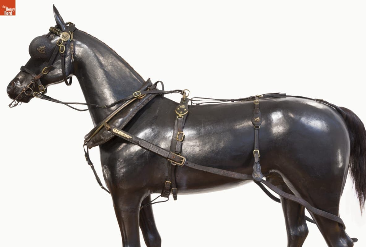 Double Brougham Harness, Used by the Hewitt Family, 1870-1900