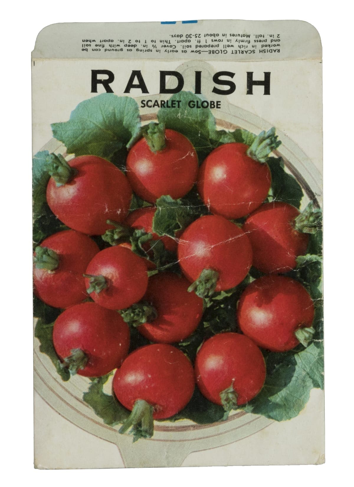 W. Atlee Burpee Company "Radish, Scarlet Globe," Seed Packet, circa 1979