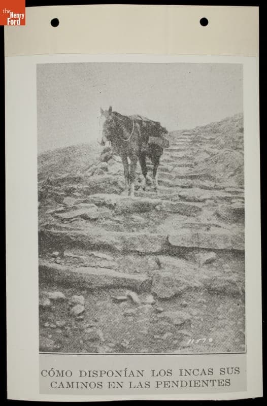 Horse Walking Down Slope, South America, circa 1930