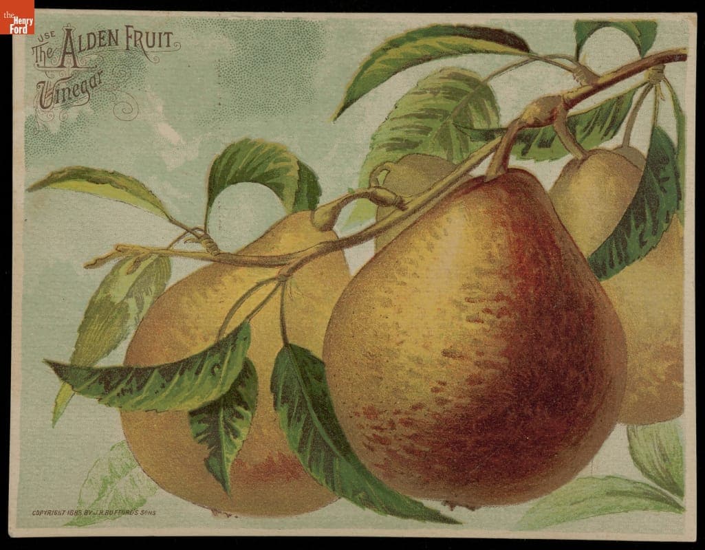 Trade Card for Alden Fruit Vinegar, 1883