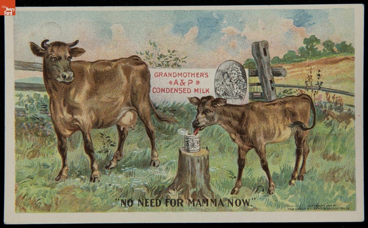 Trade Card for Grandmother's A & P Condensed Milk, Great Atlantic & Pacific Tea Co., 1894