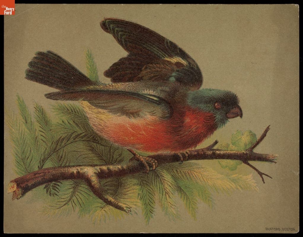 Trade Card for Mustard and Spices, Jewett & Sherman Co., circa 1890