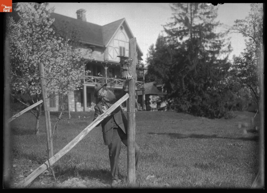 John Burroughs Putting up a Bluebird House at Riverby, 1902