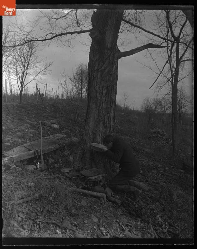 Taking the First Drink of Sap, 1900