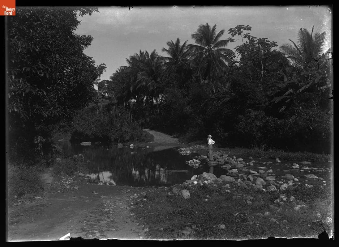 John Burroughs in Jamaica during the "Lost February," 1902