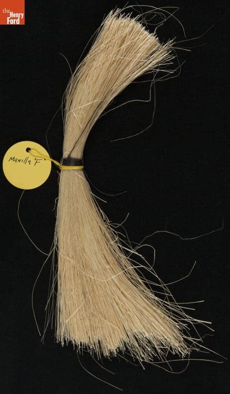 "Plant Samples--Sample #9--Manilla String, 1931"