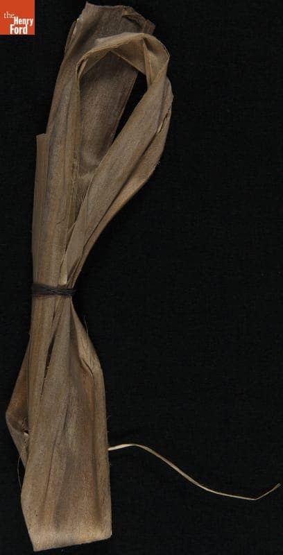 "Plant Samples--Sample #16--Wild Cotton, 1931"