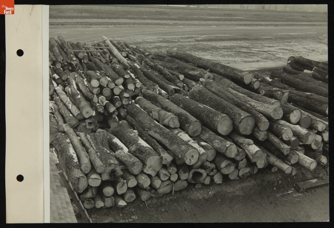 Logs Ready for Sawmill, 1940