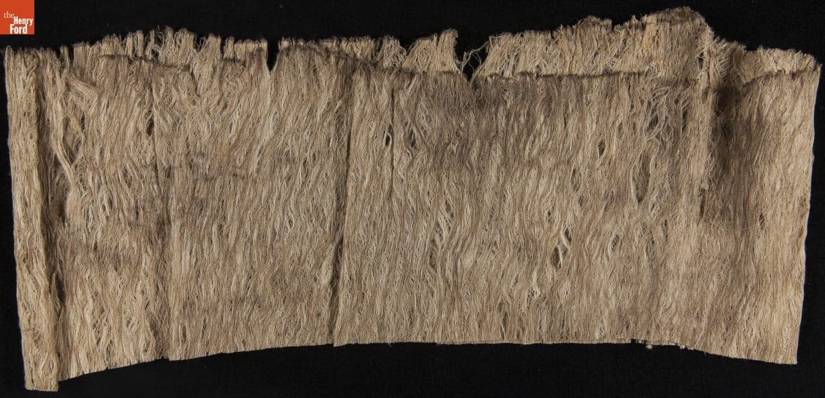 Tree Bark and Wood Pulp Samples from Brazil, Sample #10, 1925-1928