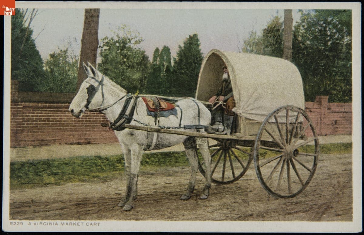 A Virginia Market Cart, 1905-1906