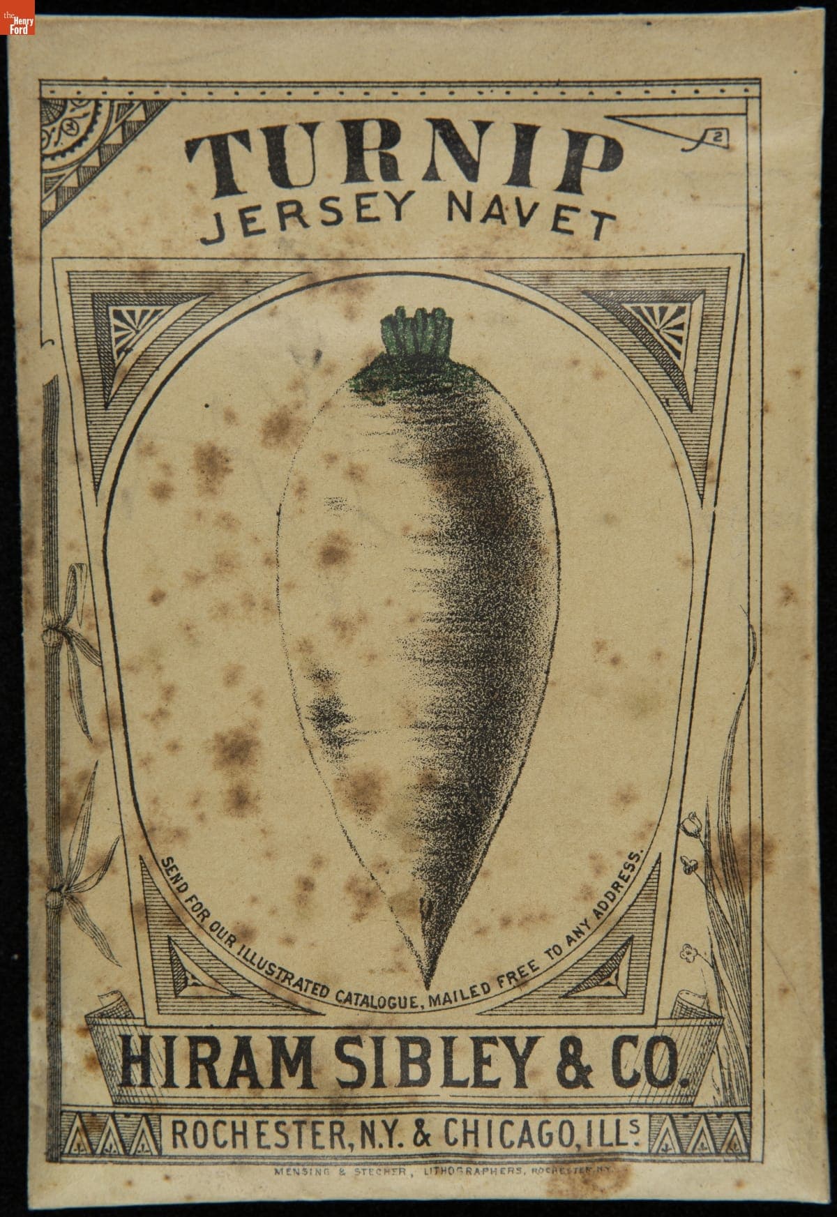 Hiram Sibley & Co. "Turnip Jersey Navet" Seed Packet, Used in the C.W. Barnes Store, 1882-1888