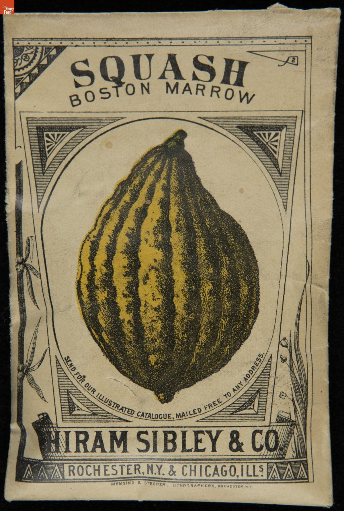 Hiram Sibley & Co. "Squash Boston Marrow" Seed Packet, Used in the C.W. Barnes Store, 1882-1888