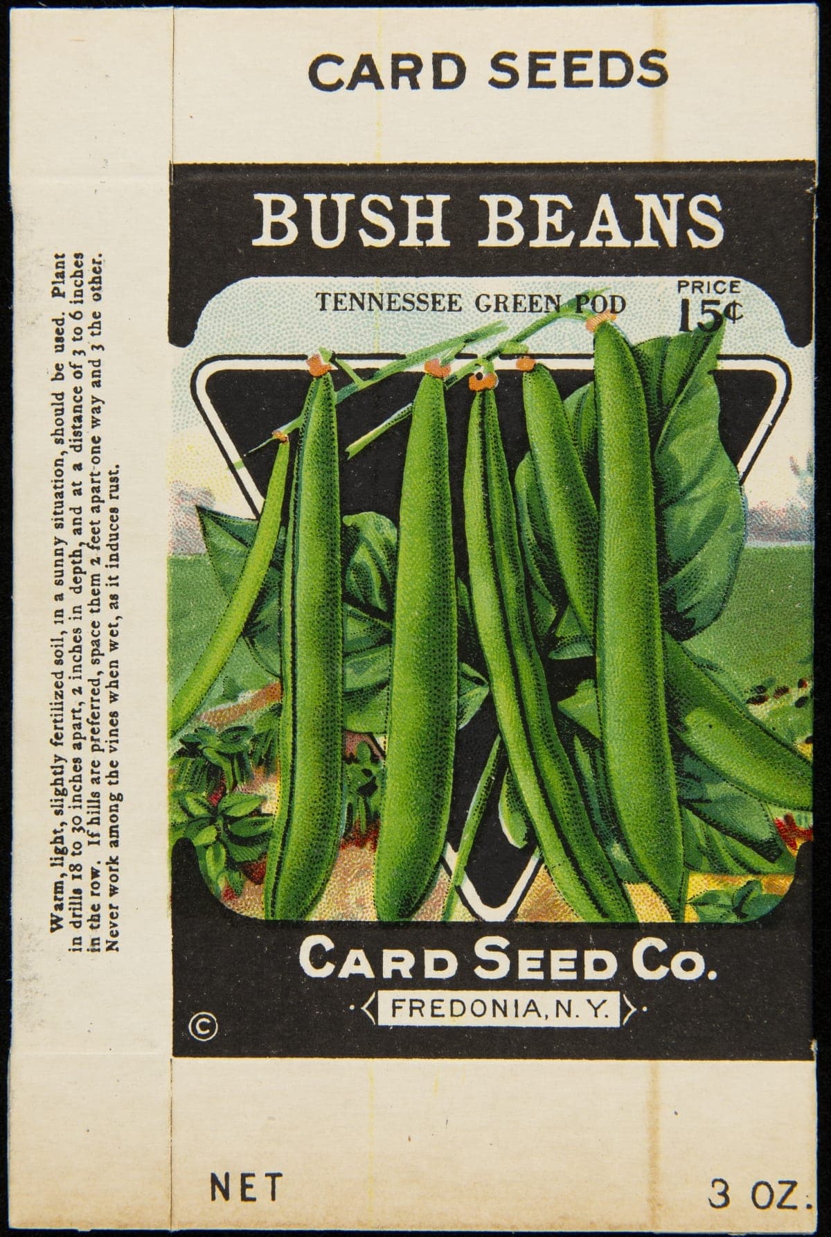 Card Seed Company "Bush Beans" Seed Packet, 1912-1920