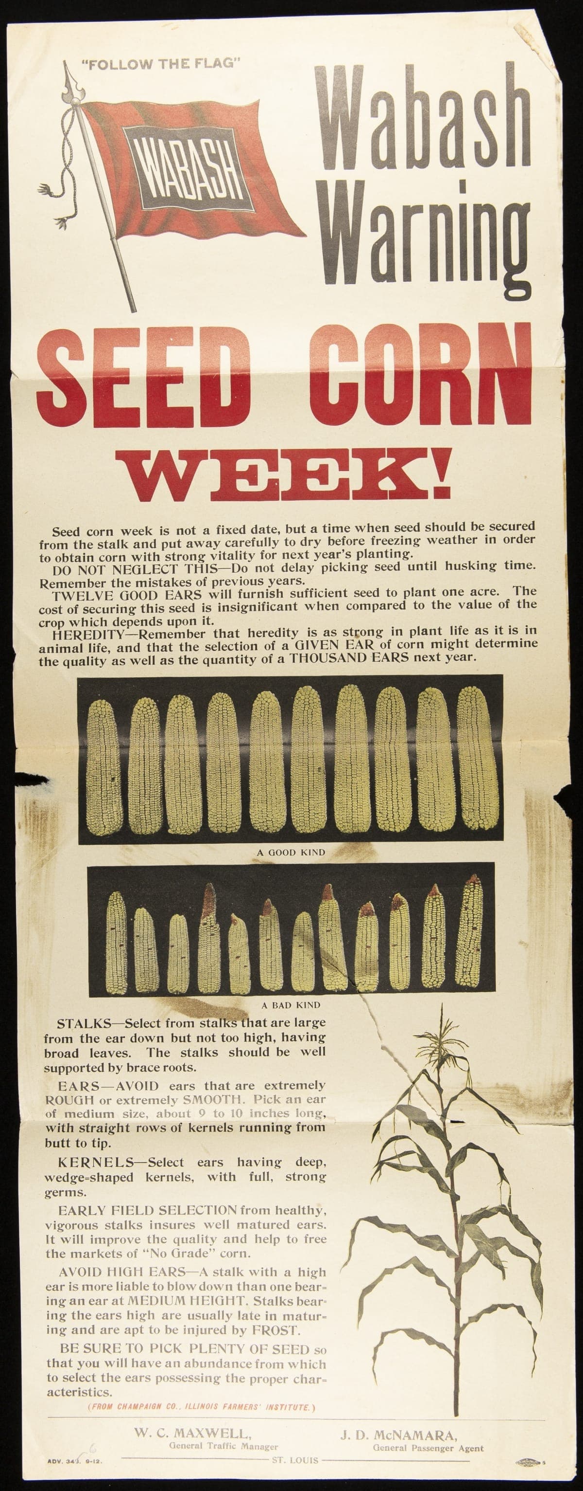 Seed Corn Week!, 1912
