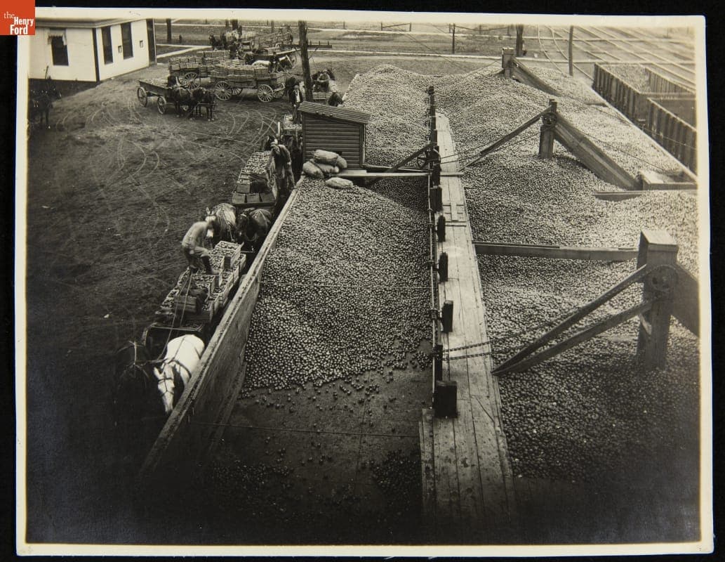 Transporting Apple Crates Using Horse-Drawn Carts, H. J. Heinz Company, Medina, New York, circa 1910