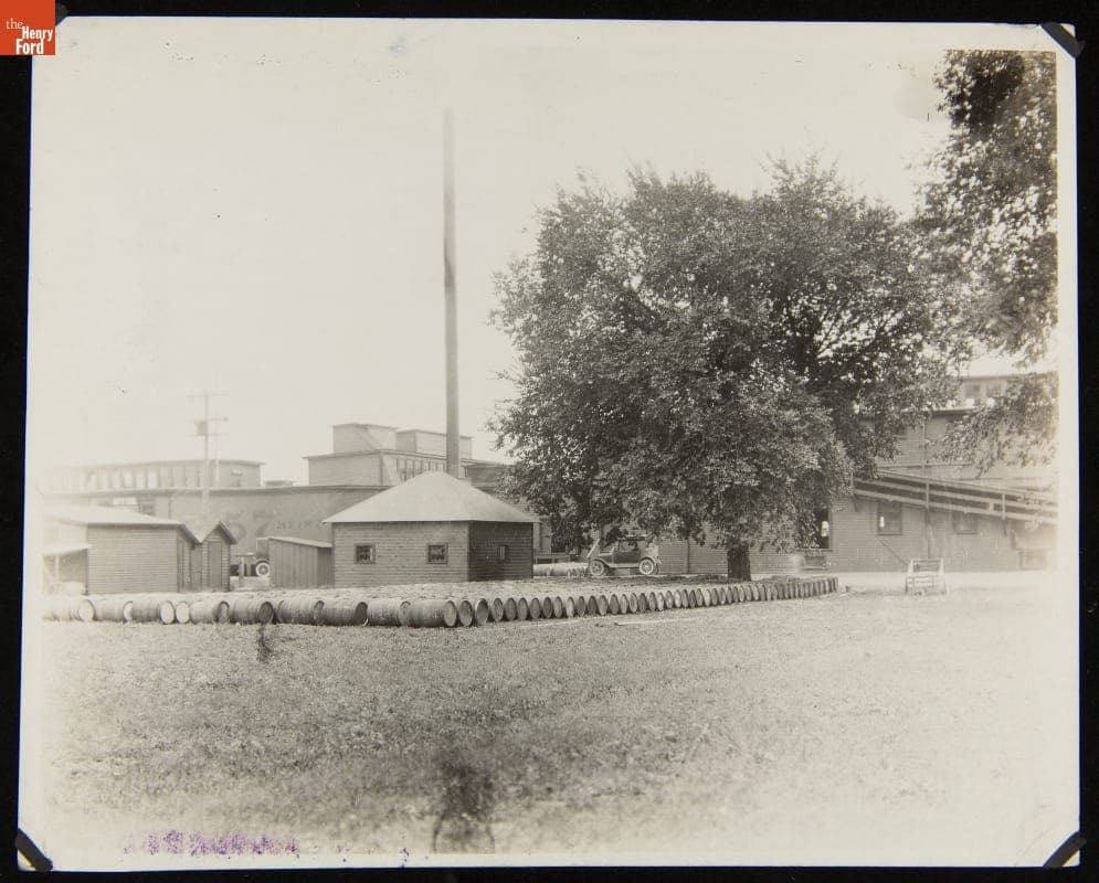 Dill Pickles Curing at the Lagman Branch, H. J. Heinz Company, circa 1915