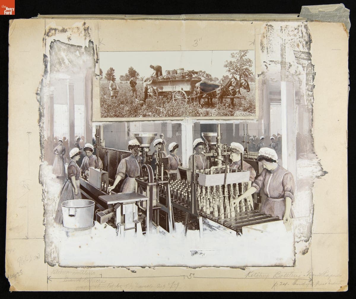 Advertising Layout Photograph of Heinz Employees Sealing Bottles, 1909