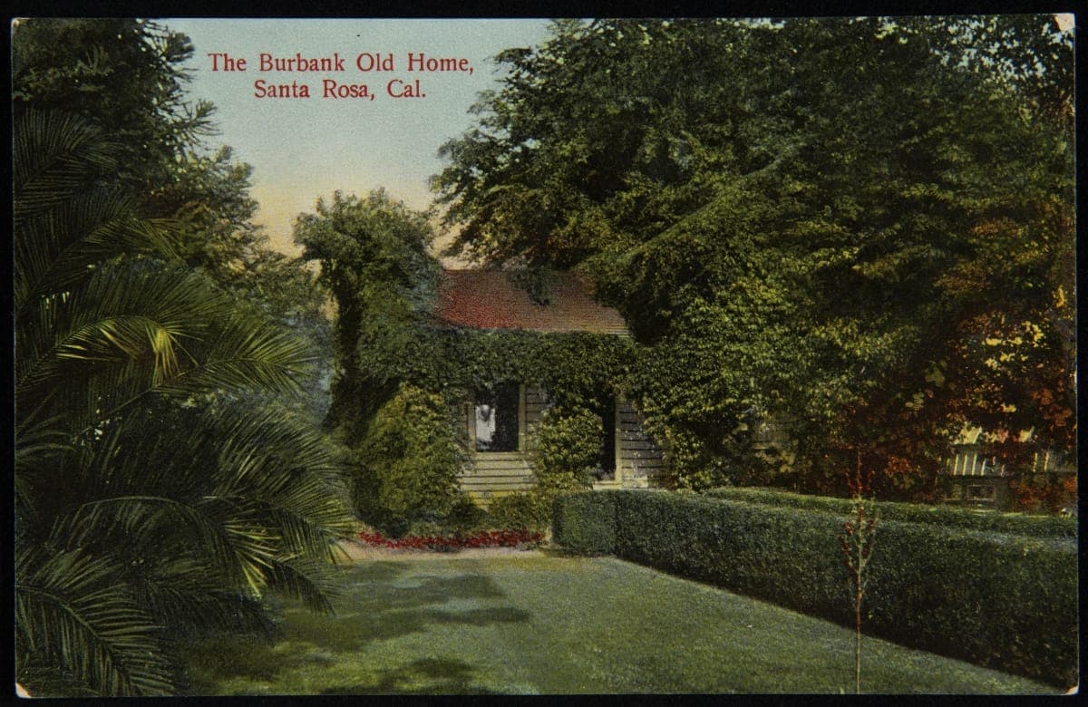 The Burbank Old Home, Santa Rosa, Cal., 1909