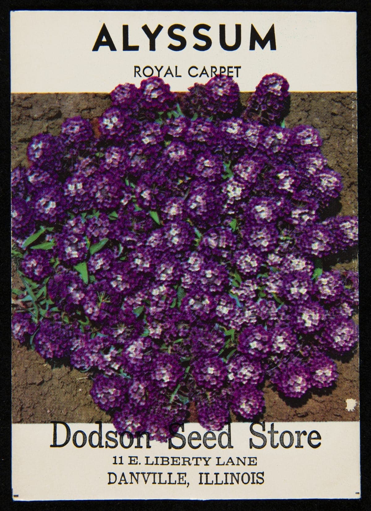Dodson Seed Store "Alyssum" Seed Packet, 1966-1983