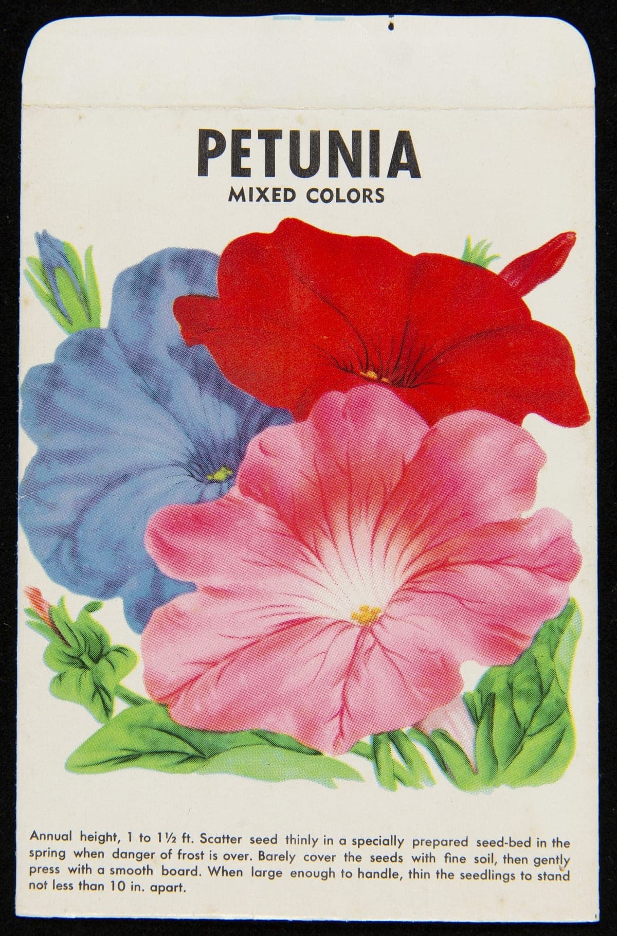 James Vick's Seeds, "Petunia" Seed Packet, 1960-1990
