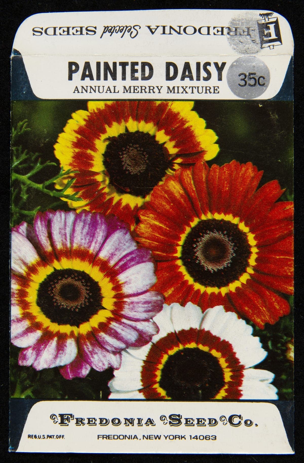 Fredonia Seed Company "Painted Daisy," Seed Packet, circa 1971