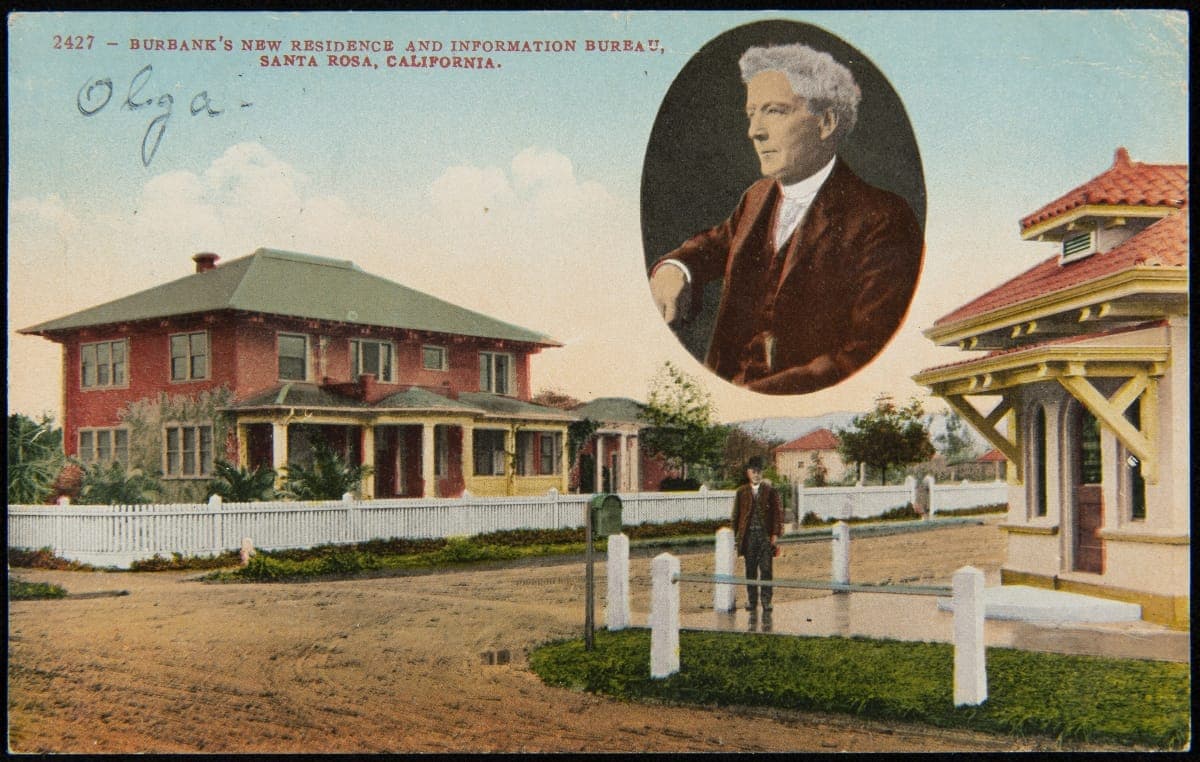 Burbank's New Residence and Information Bureau, Santa Rosa, California, 1910