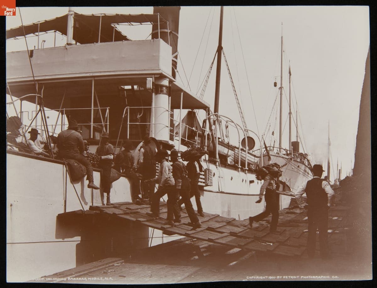 Unloading Bananas, Mobile, Alabama, 1895-1910
